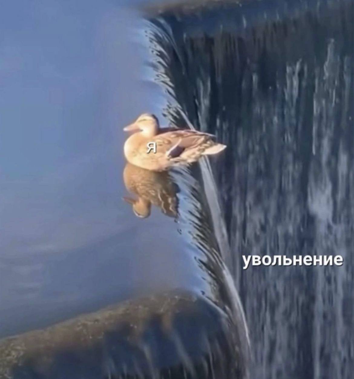 Больше 60 россиян боятся попасть под сокращение и лишиться работы kp ru Почти 7 из 10 работников 67 признаются мысль о потере работы реально пугает Для многих это не просто страх а ощущение тупика 45 уверены что быстро найти новое место не получится Говорят уже не те силы не та гибкость да и рынок не ждет Самое показательное тревога есть даже у тех кому нравится своя работа и компания Люди понимают сегодня ты нужен а завтра могут попросить освободить место Без паники к возможному увольнению относятся лишь 22 россиян они готовы закрыть дверь и пойти дальше Но таких пока меньшинство А у вас как паника или план Б всегда наготове