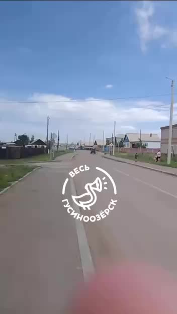 Спасение собаки, привязанной к автомобилю, на Большой Озерной улице