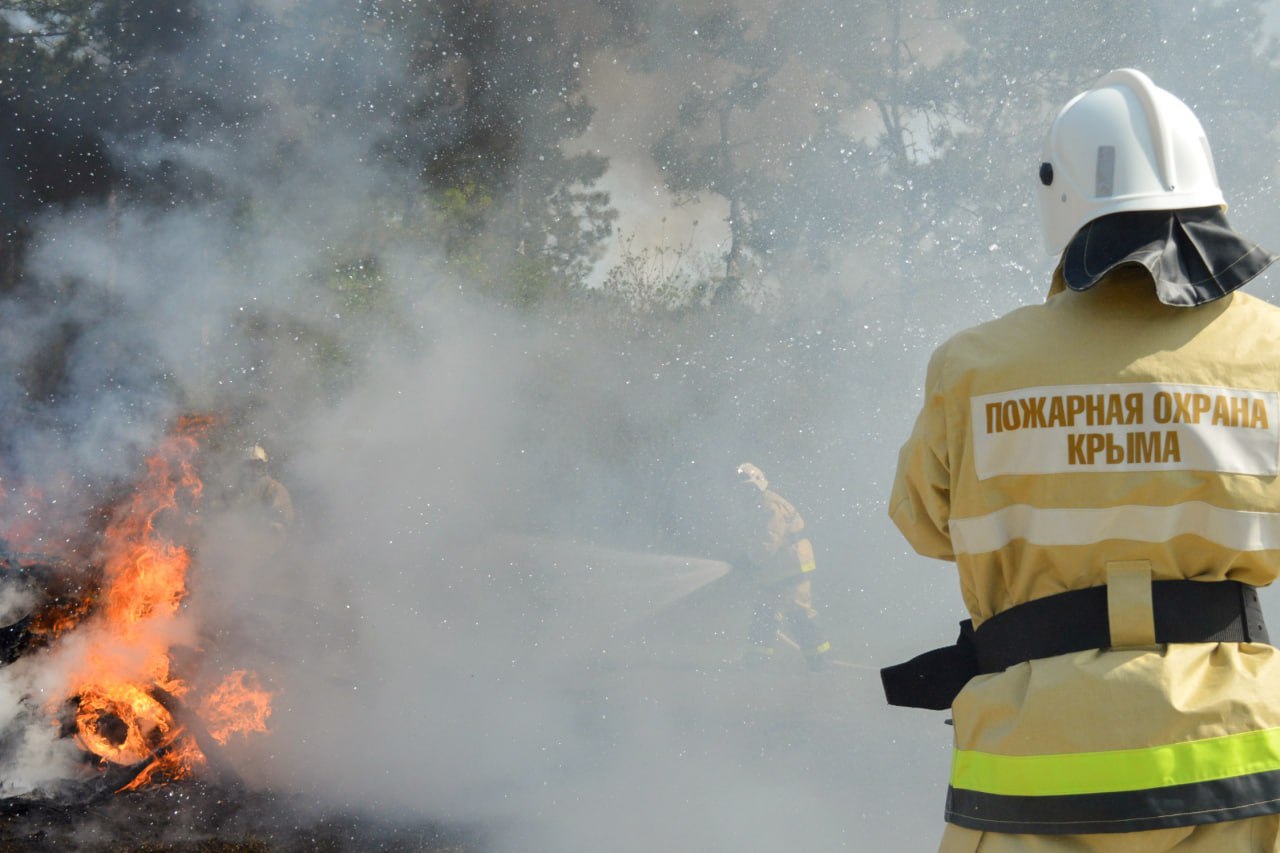 В этом году в Крыму ликвидировали больше 2000 пожаров Из них 727 — техногенные. На сегодняшний день произошло 1078 возгораний сухой травы, при этом большинство лесных пожаров происходит по вине людей. «Поэтому предотвращение пожаров – дело не только специалистов. Еще раз прошу всех во время отдыха на природе соблюдать необходимые правила безопасности и следовать рекомендациям МЧС», — отметил глава Крыма Сергей Аксёнов. : Сергей Аксёнов/tg ВЕСТИ КРЫМ