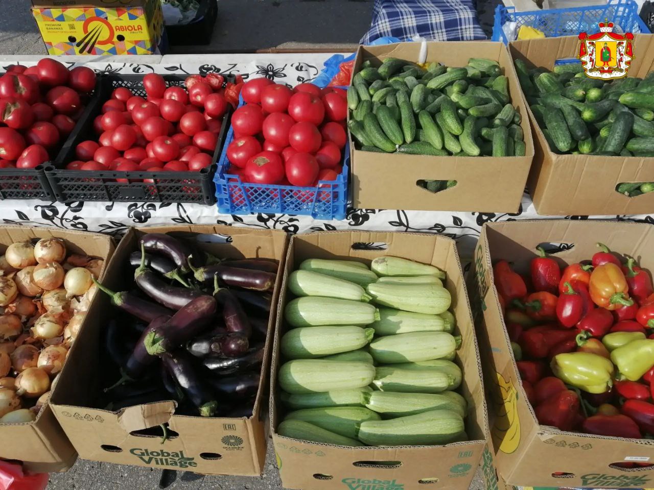 Больше 320 млн рублей потратили рязанцы в 2025 году на ярмарках выходного дня Свою продукцию на ярмарках предлагали более 160 рязанских предпринимателей в том числе фермеры и владельцы личных подсобных хозяйств Всего в прошлом году продали 180 т мяса 51 т рыбы 105 т колбас 130 т молока и молочных продуктов 170 т хлеба и хлебобулочных изделий 51 т живой рыбы 80 т картофеля 90 т овощей 165 т яблок и груш 12 т мёда и продуктов пчеловодства Ярмарки выходного дня возобновят работу с 17 января на привычных площадках территория УРТ на ул Дзержинского ЦНТИ на ул Крупской ТЦ КИТ на ул Станкозаводской КДЦ Октябрь ТЦ Европа на ул Новоселов рязанскаяобласть Подписывайтесь на наш канал в МАХ