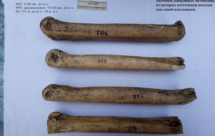 На Кубани нашли античные коньки для переправы через Керченский пролив Археологи в Темрюкском районе откопали зимнюю резину времен Боспорского царства 480 г до н э VI век н э Это заточенные лошадиные мослы которые работали как полозья Древняя логистика была суровой когда пролив замерзал местные вставали на костяные салазки и сокращали путь по льду Ученые подтвердили догадку характерные потертости на находках говорят о том что на костях активно гоняли туда сюда Девайсы нашли во время раскопок под новый топливопровод Предки оказались гениями безотходного производства съел лошадь сделал из нее транспорт иголки и оружие Наш кубанский канал следит за самыми интересными находками археологов Подписаться на truekpru Читать нас в MAX