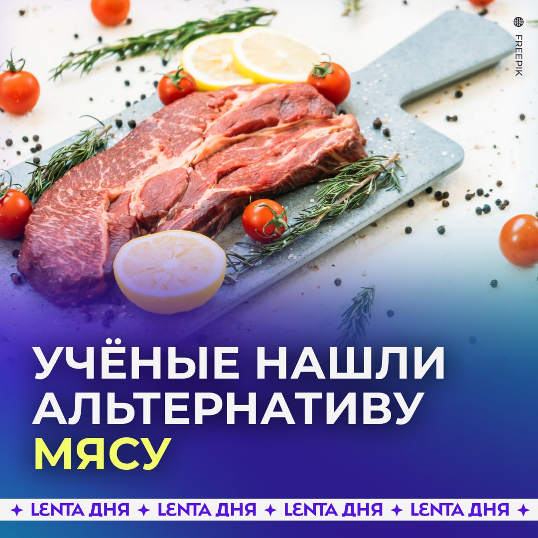 Китайские учёные представили гриб который может заменить мясо Исследователи модифицировали нитчатый гриб Fusarium venenatum из которого делают популярный микропротеин После выключения пары генов гриб стал легче усваиваться быстрее расти и при этом сохранил высокое содержание белка Учёные уверяют что такая альтернатива способна заменить мясо так как она экологичнее требует меньше ресурсов а вкус и текстура максимально близки к привычным продуктам По их мнению переход человечества на грибные и дрожжевые белки совсем близок   круто хотелось бы попробовать уж лучше реальное мясо Подпишись на Ленту дня MAX ТГ Участвуй в розыгрыше