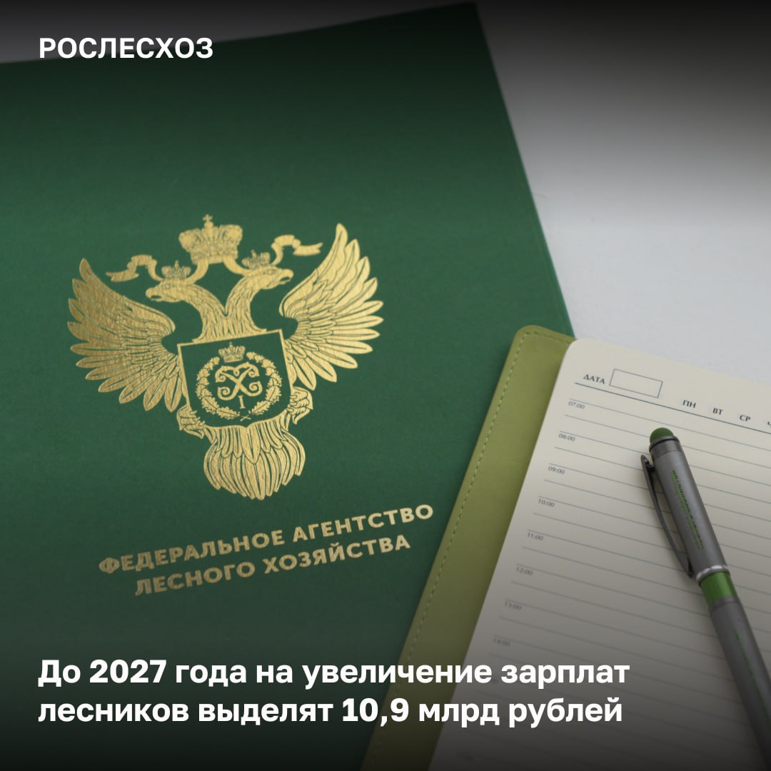 В ближайшие три года на реализацию Госпрограммы «Развитие лесного хозяйства» направят 203 млрд рублей.    Что это позволит?  Эффективно вести охрану лесов от огня, увеличить площадь лесовосстановления, а также выполнять работы по лесоустройству, лесопатологическому обследованию.     Направление финансирования  «Благодаря Правительству России, нашей совместной работе с Минприроды и Минфином России на реализацию Госпрограммы "Развитие лесного хозяйства" в ближайшие три года предусмотрено 203 млрд рублей. До 2027 года на увеличение зарплаты работников лесного хозяйства выделят 10,9 млрд рублей. Что касается охраны лесов от огня, финансирование будет увеличено с 14,4 млрд рублей до 19,9. Это позволит создать новые и укрупнить действующие лесопожарные станции в Республике Саха  Якутия , Красноярском и Забайкальском краях, обеспечить не менее 50 тыс. летных часов на лесоавиационные работы и не менее 5,3 тыс. парашютистов-десантников», - отметил глава Рослесхоза Иван Советников.    Про лесовосстановление  В течение трех лет работы будут выполнены на площади 325 тыс. га. Для этого объем посадочного материала к 2027 году будет увеличен на 6 млн шт.