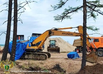 Золотодобытчикам выписали штраф за незаконный захват леса в Тынде Прокуратура Амурской области наказала компанию которая самовольно заняла лесные участки в бассейнах рек Дельберта Малая Ясный Кунгач и Каптагин   Итоги проверки Штраф на 250 тысяч рублей по статье о самовольном занятии лесных участков Двоих сотрудников компании привлекли к дисциплинарной ответственности После вмешательства надзорного ведомства организация начала освобождать земли Нарушение природоохранного законодательства пресечено ПОДПИСЫВАЙТЕСЬ НА ПОРТ АМУР В MAX