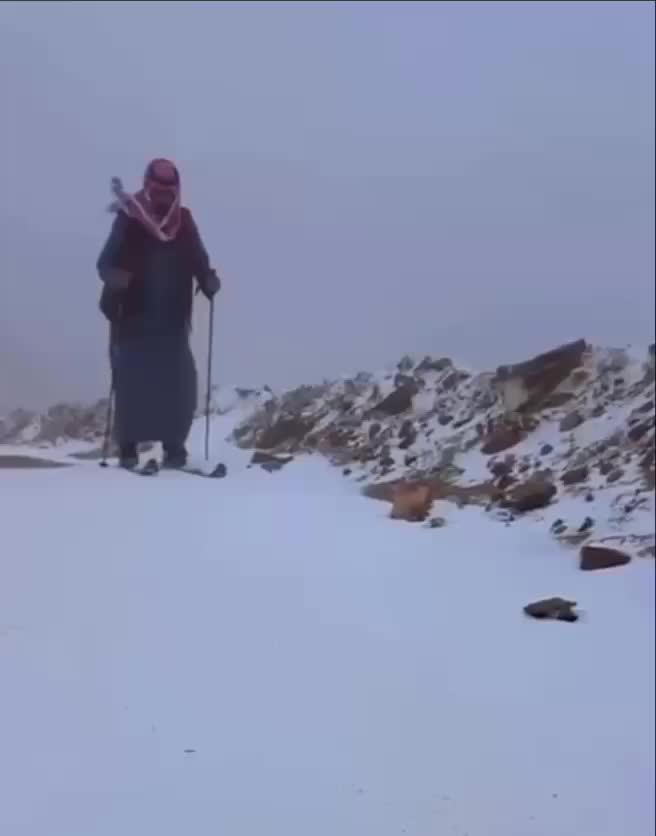 Снегопад в Саудовской Аравии: редкое явление вызывает дистанционное обучение