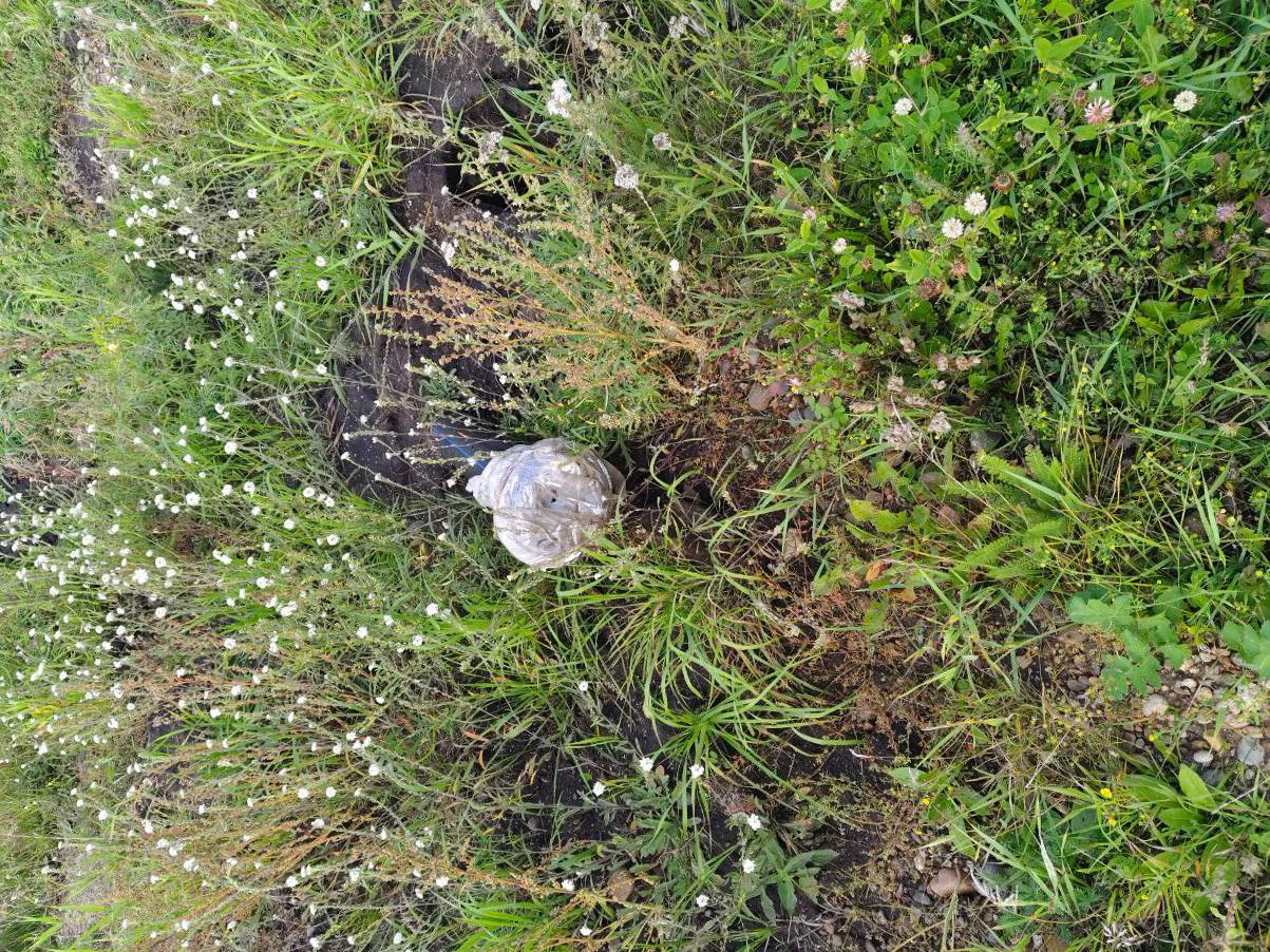 1  2  3  5  6  7  Вода утекла в карман в Иланском районе возбуждено уголовное дело после приемки несуществующего ремонта водопровода в с Карапсель В сентябре 2024 г администрация Карапсельского сельсовета заключила контракт с ООО ВахшССК на ремонт 3 км водопроводных сетей Сумма контракта 25 млн руб срок окончания работ 31 декабря 2024 г Не дожидаясь окончания этого срока глава сельсовета подписал полный пакет документов об успешном завершении всех работ и перечислил подрядчику окончательный расчет 17 5 млн руб Ранее компания уже получила аванс в 7 5 млн руб В то время как в документах значился отремонтированный водопровод прокуратура установила что работы не выполнены в полном объеме Более того ключевой элемент присоединение нового водопровода к магистральным сетям отсутствует вовсе Фактически водопровод так и не был введен в эксплуатацию а деньги поступили на счет подрядчика По материалам прокурорской проверки возбуждено уголовное дело о превышении должностных полномочий ч 2 ст 286 УК РФ Наказание по этой статье предусматривает до 7 лет лишения свободы Расследование продолжается Решается вопрос о привлечении к ответственности и руководителей компании подрядчика ООО ВахшССК Сайт Тelegram ВК