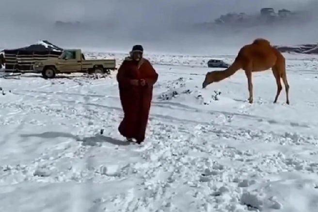 В Саудовской Аравии выпал снег Напомним этим декабрьским днём в Петербурге обещали дождь Telegram Все каналы Фонтанки Max