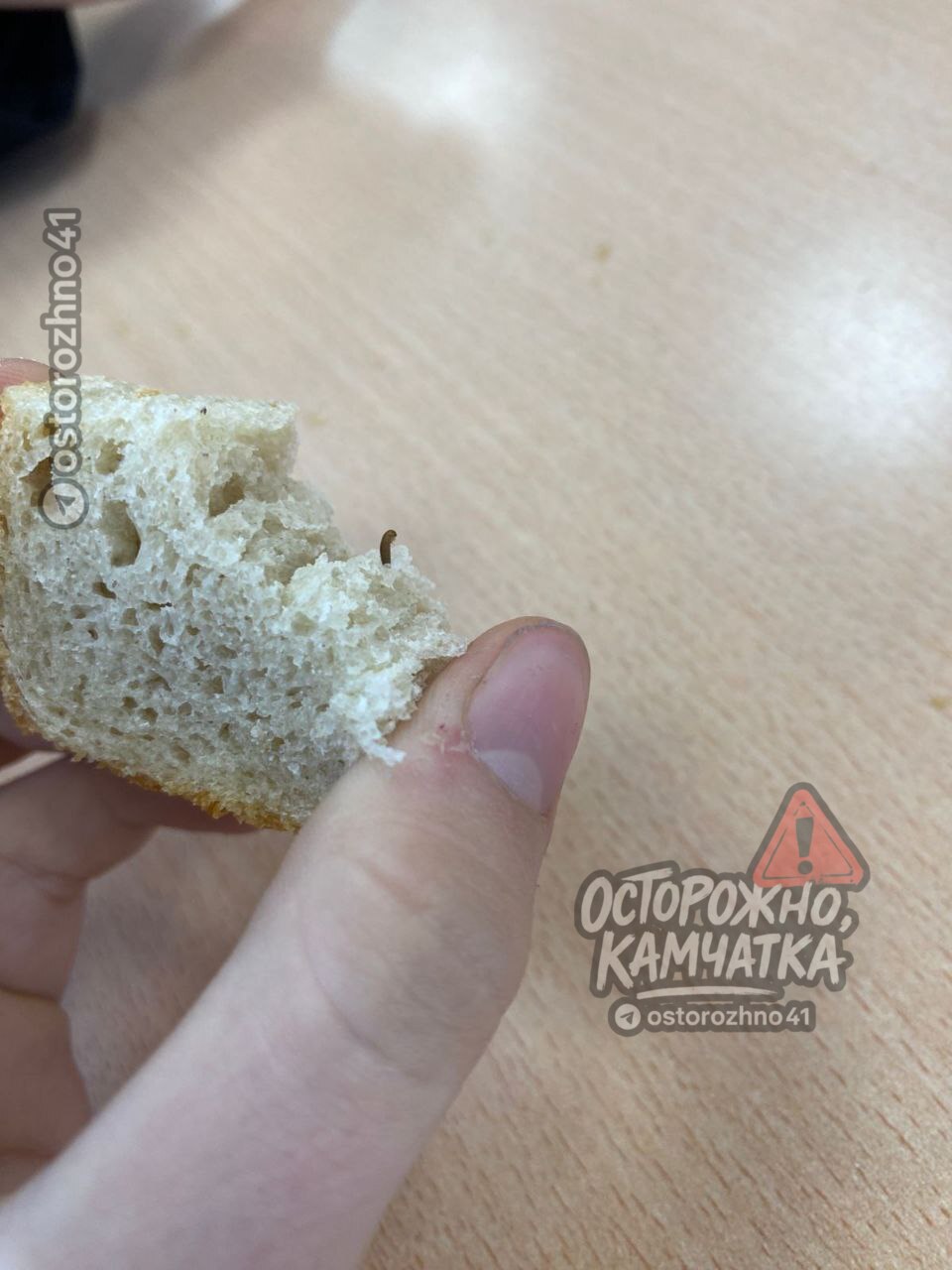 Осторожно школьный обед с сюрпризом В Мильковской школе 2 дети нашли в хлебе насекомых и личинок Инцидент произошёл 10 ноября школьники сфотографировали находку и сообщили родителям Министерство образования Камчатского края проводит проверку Хлеб уже снят с меню поставщику направят претензию Мы в МАХ Предложка открыта   Обсудим в чате   Осторожно Камчатка