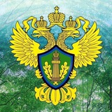 Волжско-Камское МУ РПН
