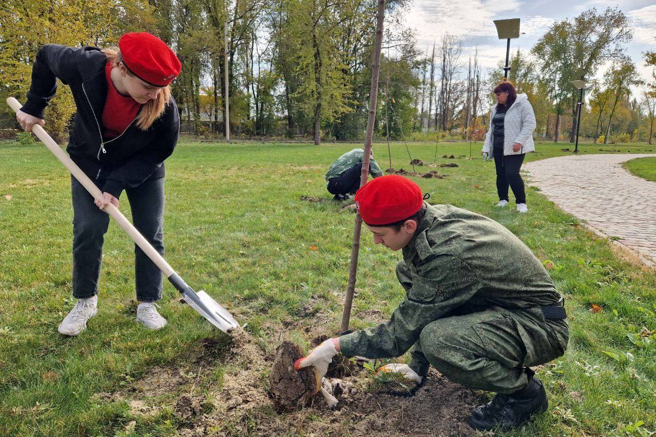 День древонасаждения начался в Ростовской области, высадят 3,5 тысячи саженцев    Сегодня, 19 октября, в Ростовской области проводится осенний День древонасаждения. Улицы городов и населенных пунктов украсят около 3,5 тысячи новых саженцев, сообщил в Telegram губернатор Василий Голубев.    - В парках, скверах, возле обелисков, на аллеях Славы появятся новые деревья и кустарники. Планируется высадить около 3,5 тысячи зеленых насаждений, - написал Василий Голубев.    Глава региона добавил, что сегодня пополнится и лесной фонд. Почти 351 тысячу саженцев укоренят на площади в 100,9 га.    - Важно не только посадить, но и проводить затем регулярный уход. Посвятили этой теме недавний областной семинар по благоустройству , - отметил Василий Голубев.    Подписаться на "Новости Ростова"    Прислать новость