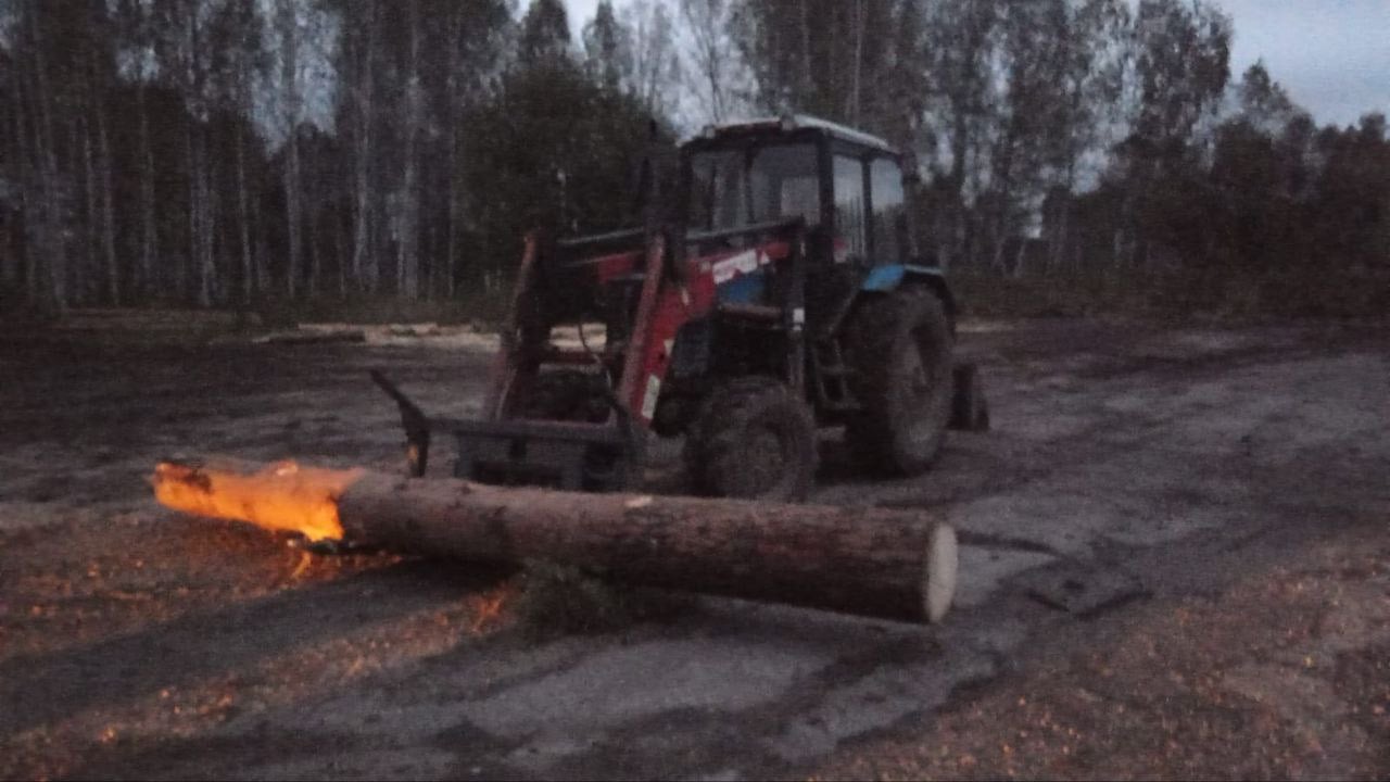 В Гурьевском округе сотрудники полиции пресекли незаконную рубку леса на сумму более 370 000 рублей   ‍ В ходе оперативно-розыскных мероприятий сотрудниками подразделения экономической безопасности и противодействия коррупции и оперативниками уголовного розыска ОМВД России по Гурьевскому муниципальному округу был выявлен факт незаконного сбыта леса. Полицейские проверили место складирования древесины. Ее владелец не смог предоставить оперативникам документы, подтверждающие законность происхождения лесоматериалов.    Сотрудники ОМВД России по Гурьевскому муниципальному округу совместно с представителем территориального лесничества обнаружили место рубки лесных насаждений на территории Бирюлинского участкового лесничества. На выделе было спилено около 30 кубометров леса породы сосна и лиственница. Ущерб, причиненный лесному фонду, составил более 370 000 рублей, что является особо крупным размером.  В ходе дальнейшей работы полицейские задержали предполагаемого организатора рубки леса, которым оказался 38-летний владелец склада лесоматериалов. Предварительно установлено, что нелегальная заготовка деревьев была организована для последующей продажи.     Следователем ОМВД России по Гурьевскому муниципальному округу возбуждено уголовное дело по ч. 3 ст. 260 УК РФ «Незаконная рубка лесных насаждений», которая предусматривает до 7 лет лишения свободы.