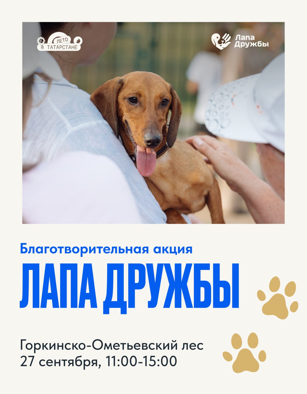 В субботу 27 сентября в Горкинско Ометьевском лесу пройдет благотворительная акция Лапа дружбы организованная приютом Щенячий патруль На мероприятии вы сможете познакомиться с четвероногими участниками и забрать питомца домой сделать пожертвования для жителей городских приютов посетить лекции от кинологов и мастер классы для детей а также принять участие в играх и интерактивах Акция пройдет на площадке для выгула собак с 11 00 до 15 00  Важно все собаки будут передаваться по договору поэтому не забудьте взять с собой паспорт Перед передачей собаки потенциальный хозяин пройдет обязательное собеседование кинолога