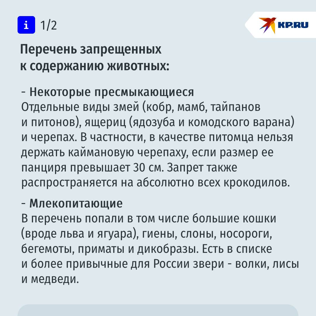 Кабмин переутвердил перечень запрещенных к содержанию животных Премьер-министр Михаил Мишустин своим распоряжением переутвердил перечень животных, запрещенных к содержанию. В документе перечисляется 121 разновидность, попадающая под ограничение. Подробнее - в наших карточках Уточняется, что данный запрет на содержание перечисленных животных не распространяется на отдельные случаи, в том числе на работу зоопарков, цирков, дельфинариев и океанариумов.