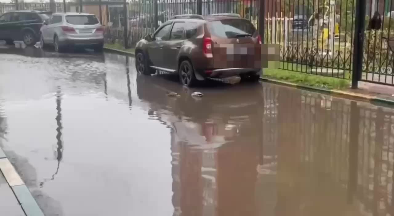 Утки в Химках наслаждаются лужей, приняв её за озеро