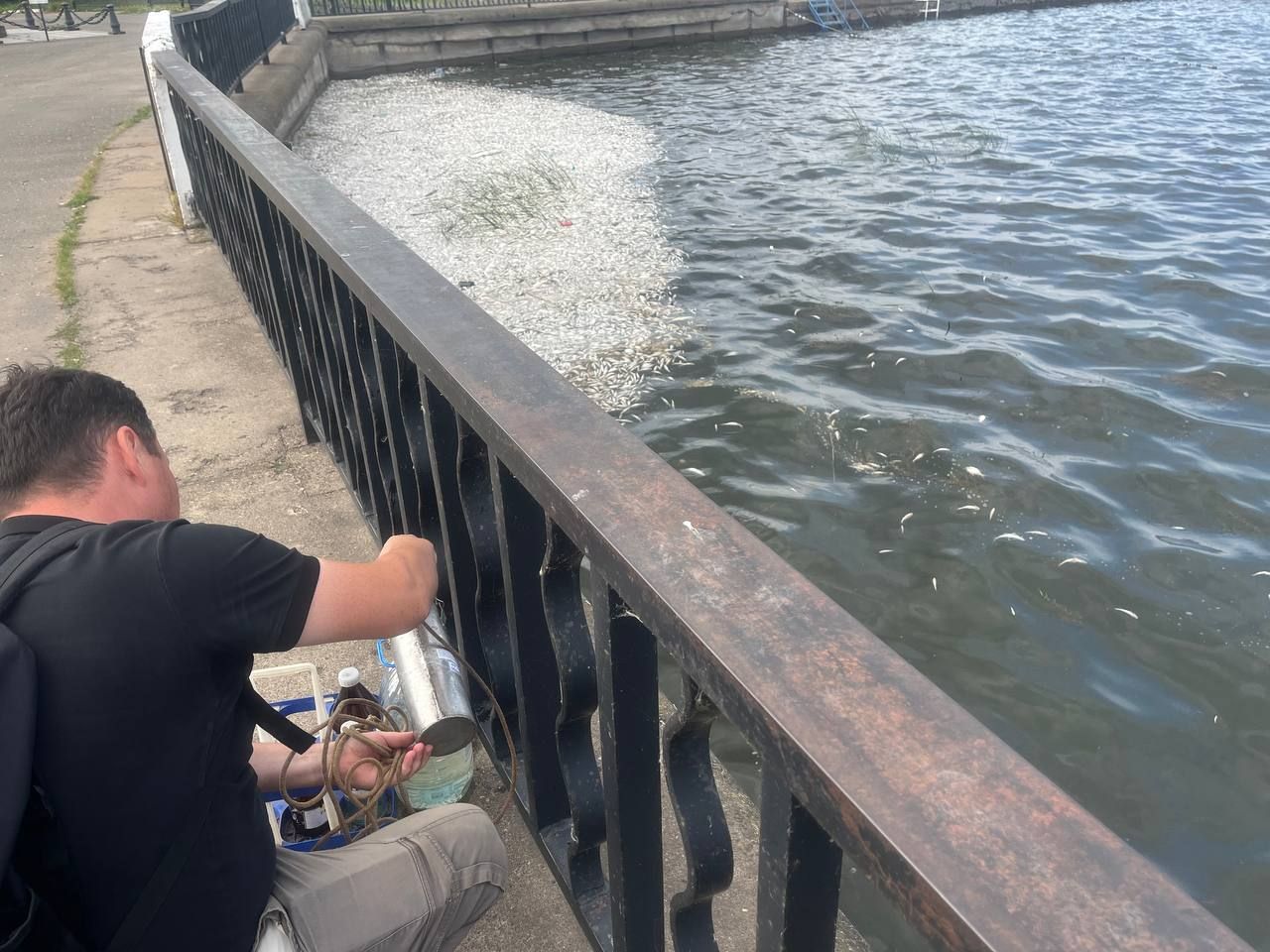 Специалисты минприроды Удмуртии взяли пробы воды на месте гибели рыбы на Воткинском пруду.  Инспекторы ведомства выехали на место 10 августа. Они взяли пробы поверхностной воды и направили их на анализ в лабораторию - результаты будут готовы не ранее чем через 2 недели.  "При установлении превышения допустимых концентраций веществ информация будет направлена в правоохранительные органы. Также мы оперативно довели информацию до Росрыболовства для принятия мер в рамках полномочий", - пояснили в пресс-службе минприроды.   Фото: пресс-служба минприроды Удмуртии.    -info