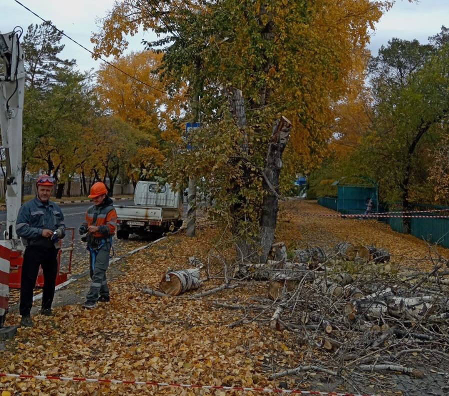 В Белогорске продолжается спил сухостойных деревьев. Перестойные тополя и карагачи пилят в разных районах города.   — На сегодняшний день почти половина, 30 деревьев, из запланированных к спилу в этом году, демонтированы, — отметила специалист Управления ЖКХ Юлия Луценко.   Ранее сообщалось, в общей сложности в Белогорске в 2024 году спилу подлежат 57 деревьев. По поручению главы города Станислава Мелюкова, на эти цели выделено около миллиона рублей из средств городского бюджета.