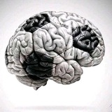 Аватар Телеграм канала: Футболиум