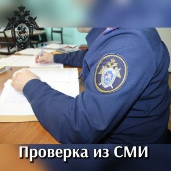В Томске организовано проведение доследственной проверки по публикациям СМИ о фактах заболевания учеников томской школы Следственными органами Следственного комитета Российской Федерации по Томской области инициировано проведение проверки размещенных в средствах массовой информации публикаций о заболевании нескольких учеников школы Открытие в городе Томске гастроэнтеритом в сентябре текущего года В частности сообщается что двое детей были госпитализированы в инфекционный стационар для лечения   В ходе проверки будут выяснены все обстоятельства произошедшего действиям ответственных лиц будет дана правовая оценка По результатам проверки будет принято процессуальное решение