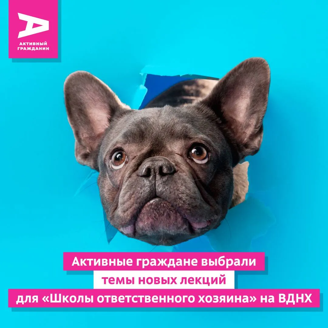Хотите чтобы ваш питомец был здоровым и послушным Приходите на бесплатные занятия в Школу ответственного хозяина на ВДНХ Темы для новых лекций выбрали москвичи в проекте Активный гражданин Своим мнением поделились свыше 140 тысяч жителей столицы Так программу мероприятий дополнили темы Что у него болит Питание без вреда Послушный питомец Новые занятия состоятся 17 23 и 24 мая Следить за анонсами встреч можно на сайтах музеев городского хозяйства Москвы и транспорта Москвы Подписывайтесь на наш канал в МАКС techmos