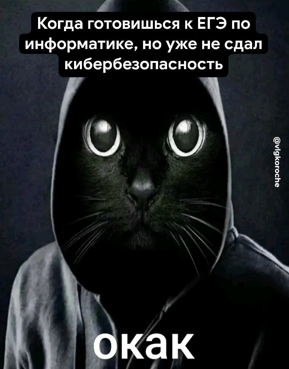 Мошенники взялись за волгоградских школьников. Кибер-аферисты пользуются тем, что многие сейчас готовятся к ЕГЭ. С одной одиннадцатиклассницей недавно связался неизвестный. Мужчина представился сотрудником Минобрнауки, а затем под угрозой несдачи экзамена, попросил продиктовать код из СМС. Так мошенник получил доступ к данным Госуслуг. В МВД предупреждают, что всю актуальную информацию, в том числе о порядке и сдаче государственных экзаменов, можно получить в школе или гимназии. Представители Минобрнауки не будут звонить и требовать данных. Подписаться на «Короче, Волгоград»