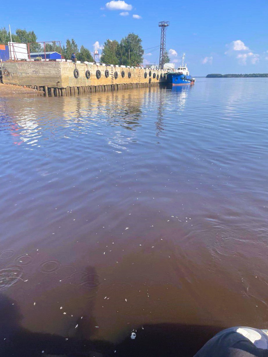 Тем временем водолазы Центра гражданской защиты продолжают поиски тел утонувших.   Вчера и сегодня в г. Онега группа искала 31-летнего мужчину, утонувшего 27 июля. Работы завершены безрезультатно, мужчину найти не удалось.  Впереди у водолазов поисковые работы в Виноградовском и Котласском округе.
