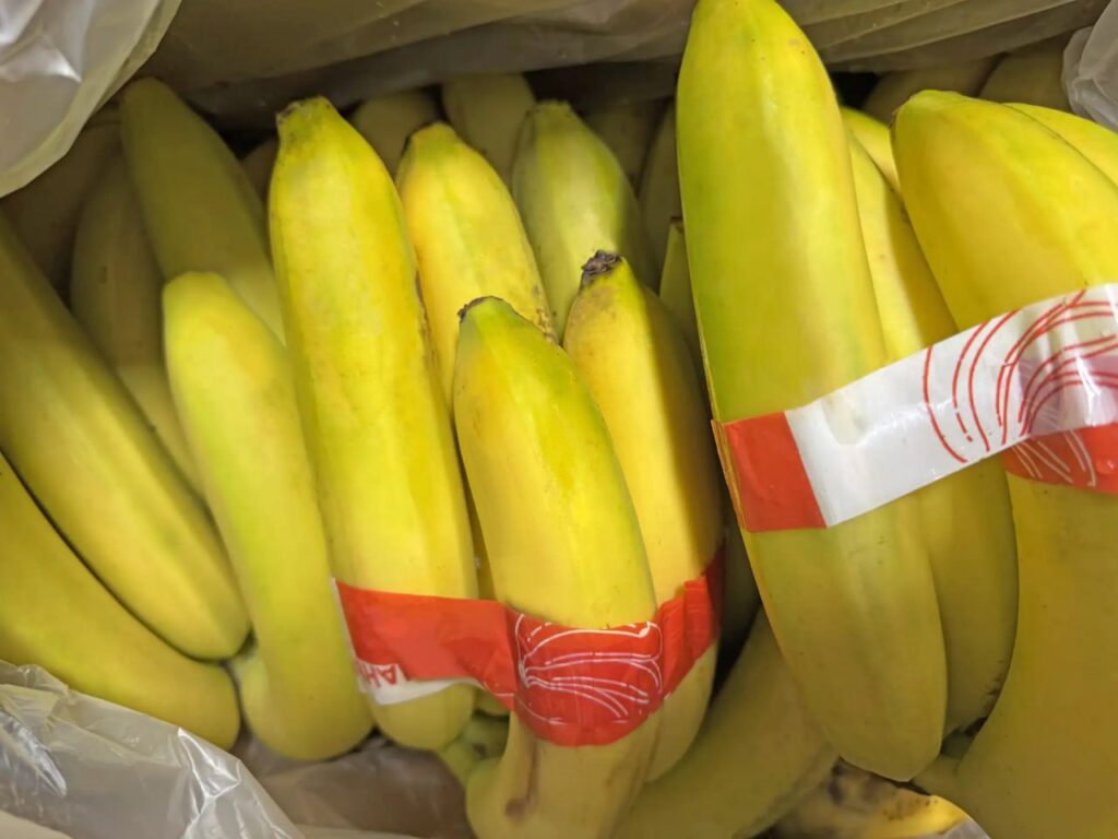 Импорт бананов в Томскую область seanews ru 2025 12 15 ru import bananov v tomskuju oblast Кемеровские таможенники фиксируют рост поставок бананов в Томскую область сообщает ФТС в своем телеграм канале За 10 месяцев 2025 года в регион импортировано 11 2 тыс тонн этого фрукта что на 15 превышает объем поставок за аналогичный период прошлого года По объему импорта свежих бананов в Сибирском федеральном округе Томская область занимает лидирующую позицию Основными поставщиками являются