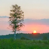 РОДИНА МОЯ