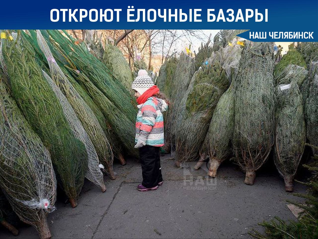 Новогодние базары откроются 2 декабря  Об этом сообщили на аппаратном совещании в администрации. В городе будет действовать около 60 ёлочных ярмарок, больше всего в Курчатовском районе.    А вы будете ставить ёлку?