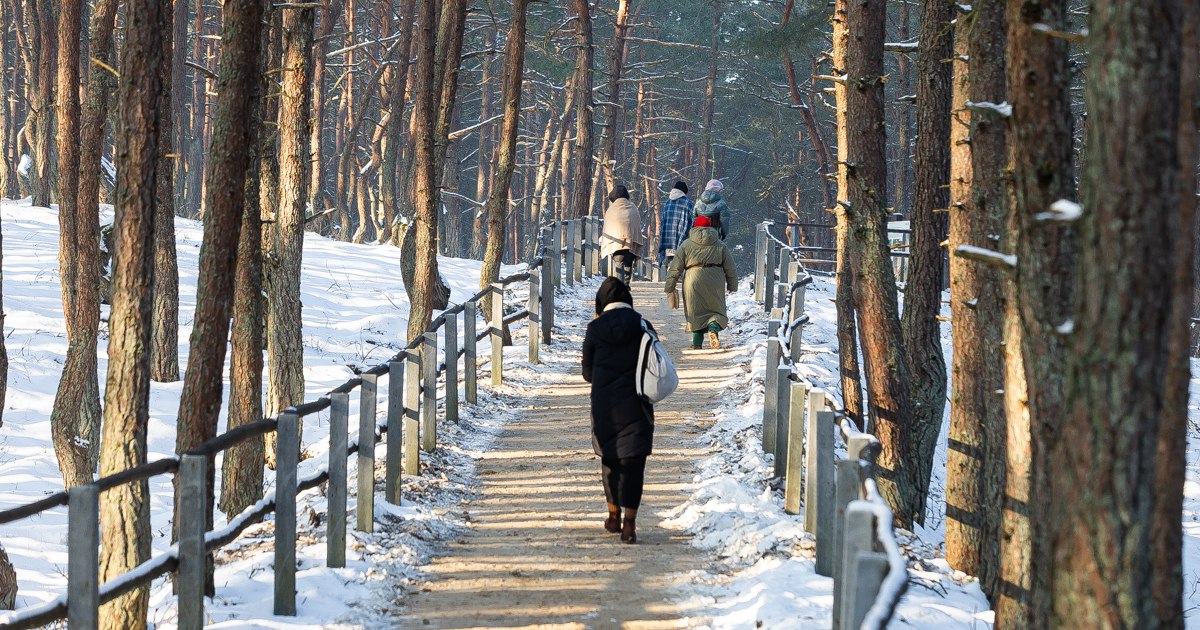 Туристы должны уехать счастливыми калининградские гиды рассказали чего хотят гости и кто знакомит их с регионом Правило спрос рождает предложение в туризме работает безотказно гости выбирают не только тех у кого есть базовые знания и дипломы но и так называемых таксогидов проводников по заброшкам и подземельям гастротуры пивные или сырные экскурсии квесты Накануне Международного дня экскурсовода который отмечается 21 февраля Клопс расспросил экспертов кто сегодня представляет эту профессию