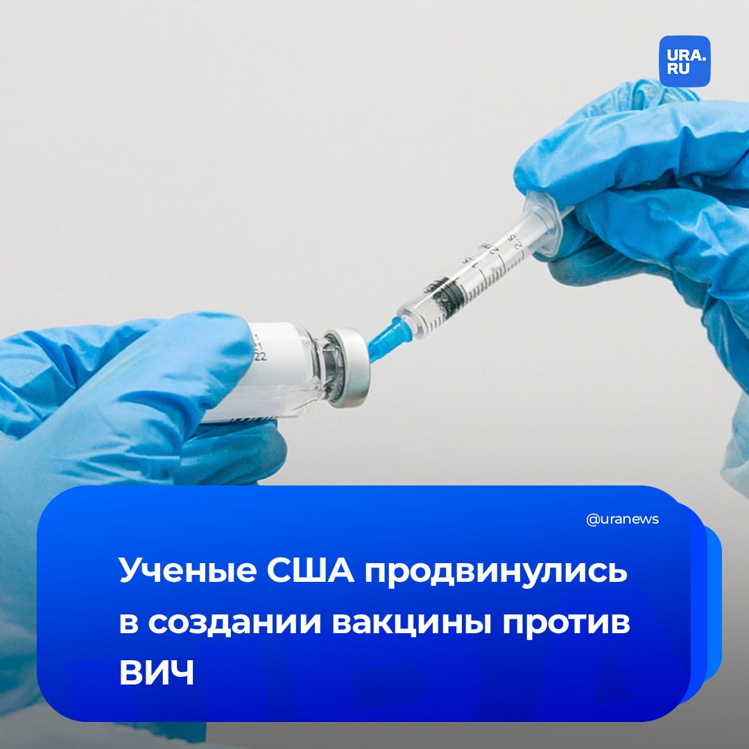 Борьба с ВИЧ вышла на новый этап Американские биологи из Вистаровского института впервые создали прототип вакцины от вируса иммунодефицита который может нейтрализовать заболевание уже после одного двух применений Ранее исследователи при разработке лекарства опирались на воздействие на белковую оболочку ВИЧ и внедряли в иммуноген сахар N332 гликан Предполагалось что он нужен для эффективного связывания антител Но удаление этого компонента лишь усилило вакцину что подтвердил эксперимент на обезьянах По различным оценкам в России 1 1 2 млн ВИЧ инфицированных Специалисты отмечали что ситуация с заболеваемостью в регионах Урала остается непростой так как вирус здесь активно распространялся в прошлые десятилетия из за наркотиков Подписаться на URA RU мы в MAX