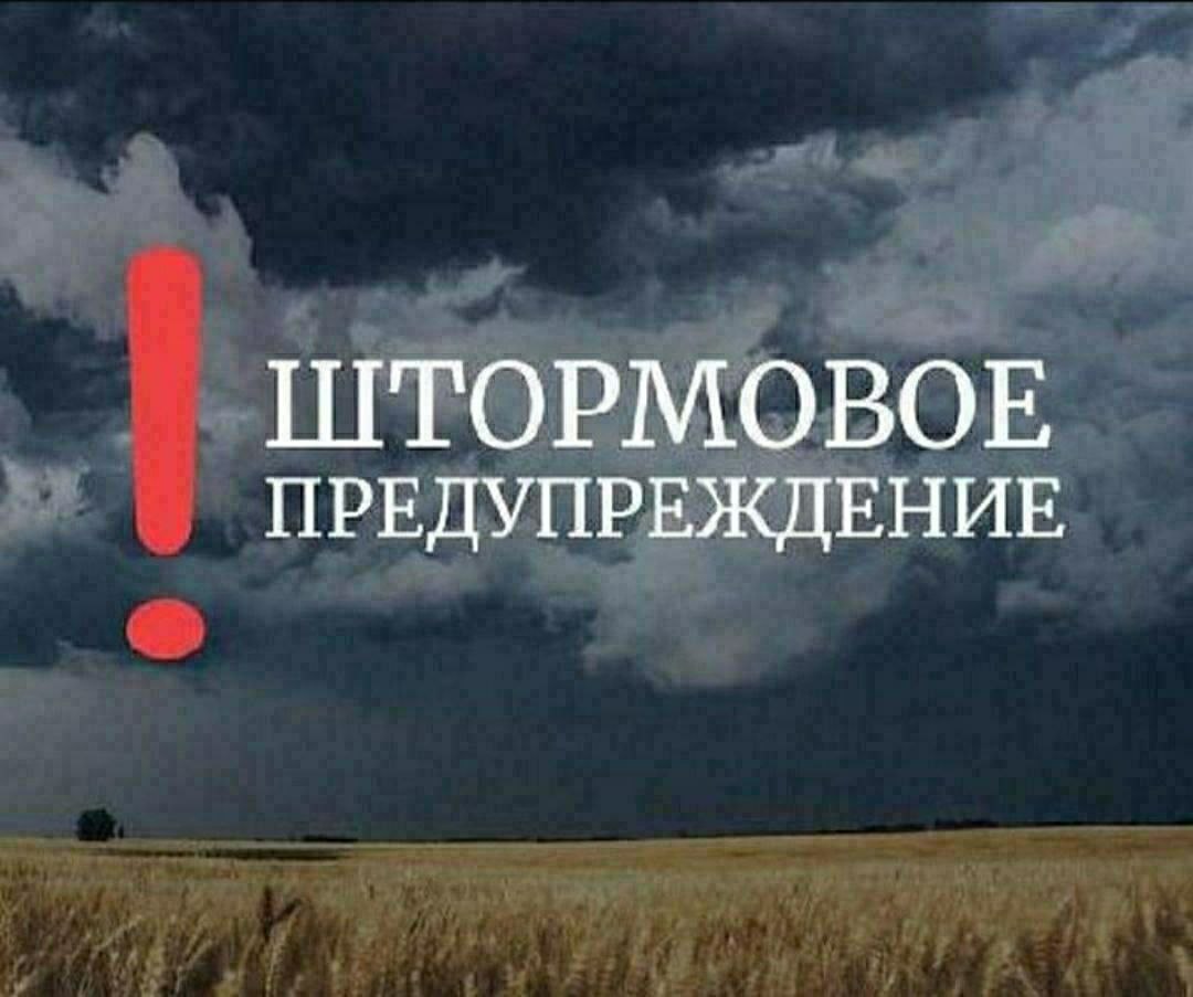 Жителей Запорожской области предупреждают об опасных погодных условиях В период с вечера 24 октября до утра 25 октября в отдельных районах прогнозируется комплекс неблагоприятных явлений сильный дождь ливень гроза град Ветер усилится до 20 22 м с Просим вас соблюдать меры предосторожности и проявлять бдительность Телефон экстренных служб 101 t me zo telegraf 26115 Подписаться на канал
