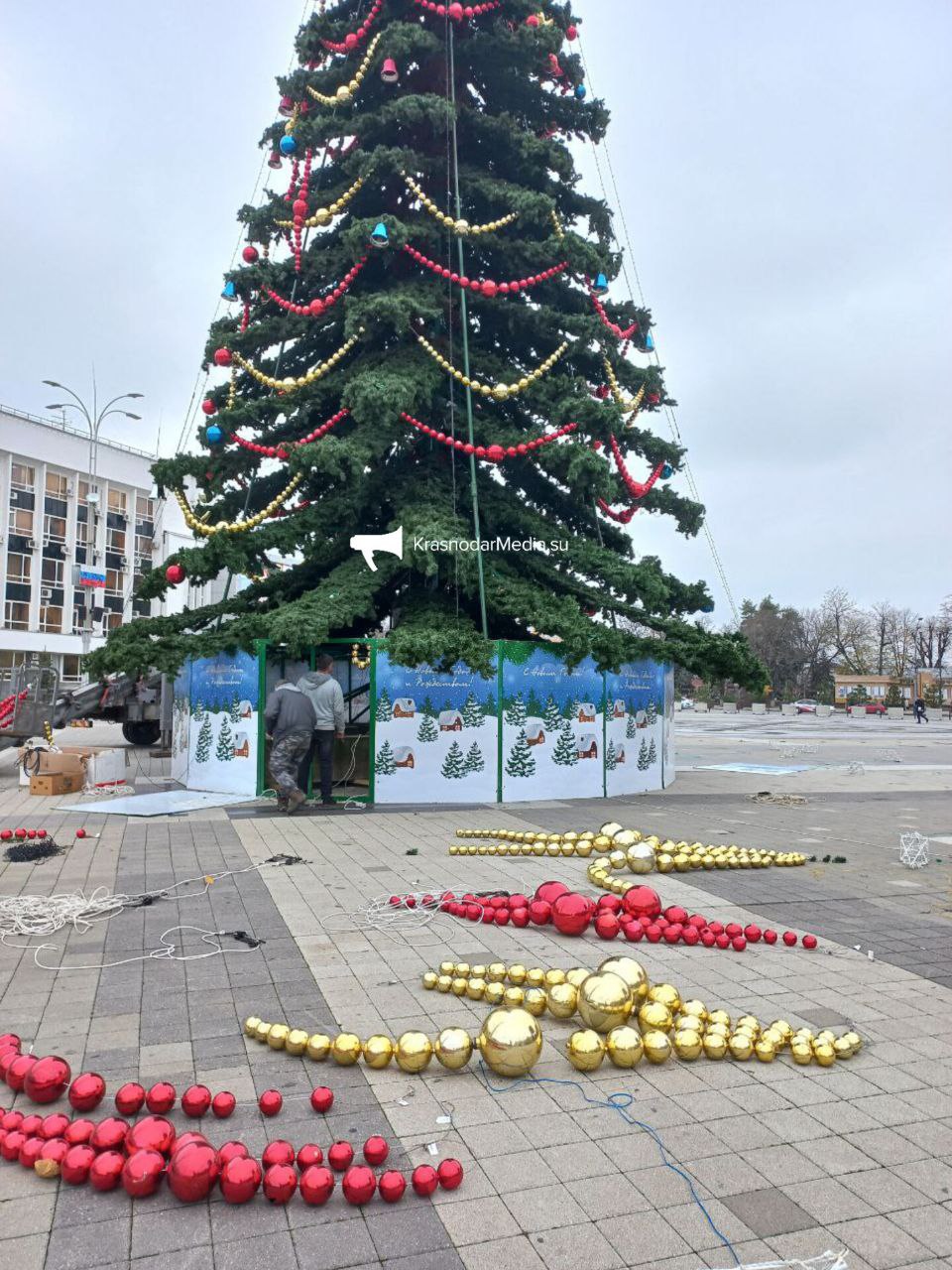 Самую большую елку в Краснодаре  высотой 22 м  установят на Главной городской площади с 25 ноября    В этом году, помимо шаров, снежинок и бус, ее дополнят новой гирляндой и игрушками в виде снеговиков, избушек и щелкунчиков.   Также ель  высотой 19 м  украсит территорию перед зданием администрации Краснодарского края.   Высота остальных 7 красавиц — 15 м. Их установят до 15 декабря:   пересечение ул. Красных Партизан и ул. им. Трубилина;  площадь напротив здания ЗСК;  сквер им. 80-ия образования Краснодарского края;  сквер им. Л.Гатова;  перед кинотеатром "Болгария";  сквер "Субботний";  сквер "Пограничников".   Кроме этого, на ул. Красной сделают 130 светоотражающих панелей.