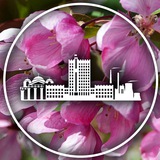 Аватар Телеграм канала: Ачинск. Официально