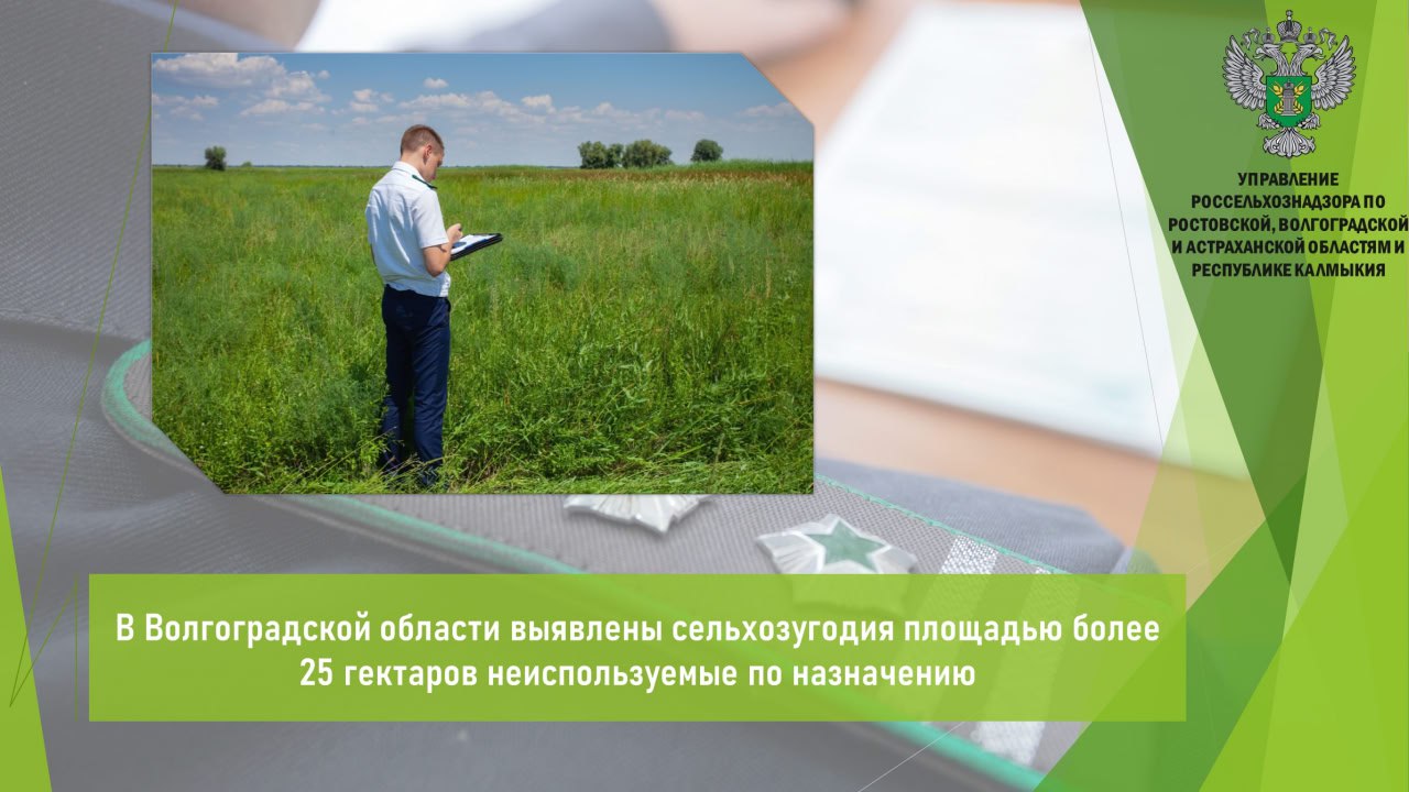 Управлением Россельхознадзора в рамках выездного обследования сельхозугодий, расположенных в границах Городищенского района Волгоградской области, выявлено нарушение земельного законодательства. Установлено, что на площади 25,9 га произрастает сорная растительность. Высота сорняков достигает до 0,4 метра. На момент осмотра земель следов выпаса сельхозживотных, сенокошения и иной сельскохозяйственной деятельности не обнаружено. Таким образом, собственником не выполняются установленные требования и обязательные мероприятия по улучшению защите земель, охране почв от зарастания сорной, древесно-кустарниковой растительностью. По факту выявленного нарушения собственнику участка выдано предписание об устранении выявленного нарушения требований земельного законодательства и предписано привести участок в состояние, пригодное для использования в соответствии с категорией и видом разрешенного использования, способом, предусмотренным законодательством РФ. Открыть полный текст #Земельный_надзор #Сорняки