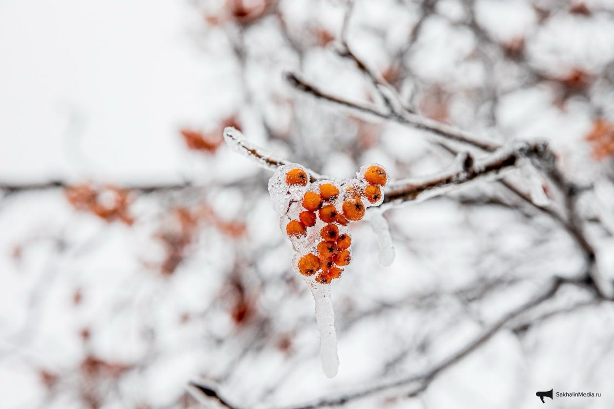 Снежный Новый год прогноз погоды на Сахалине и Курилах на 1 января В северных и центральных районах Сахалина ночью снег в центральных районах сильный и очень сильный днем снег на юго востоке сильный На побережьях метель Ветер северный 9 14 м с на побережьях 16 21 м с Температура днем от 0 С до 5 С На юге острова снег местами сильный ночью на севере очень сильный На побережьях метель Ветер северный северо западный 8 13 м с на побережьях 16 21 м с Температура днем от 0 С до 5 С На юге Курильских островов небольшой снег на севере сильный снег Ветер юго западный 15 20 м с ночью на севере 7 12 м с Температура на юге от 2 С до 7 С на севере от 3 С до 2 С на сутки В Южно Сахалинске снег днем сильный Ветер западный днем юго западный 9 14 м с Температура днем от 2 С до 4 С   ПОДРОБНЫЙ ПРОГНОЗ   SakhalinMedia Прислать новость