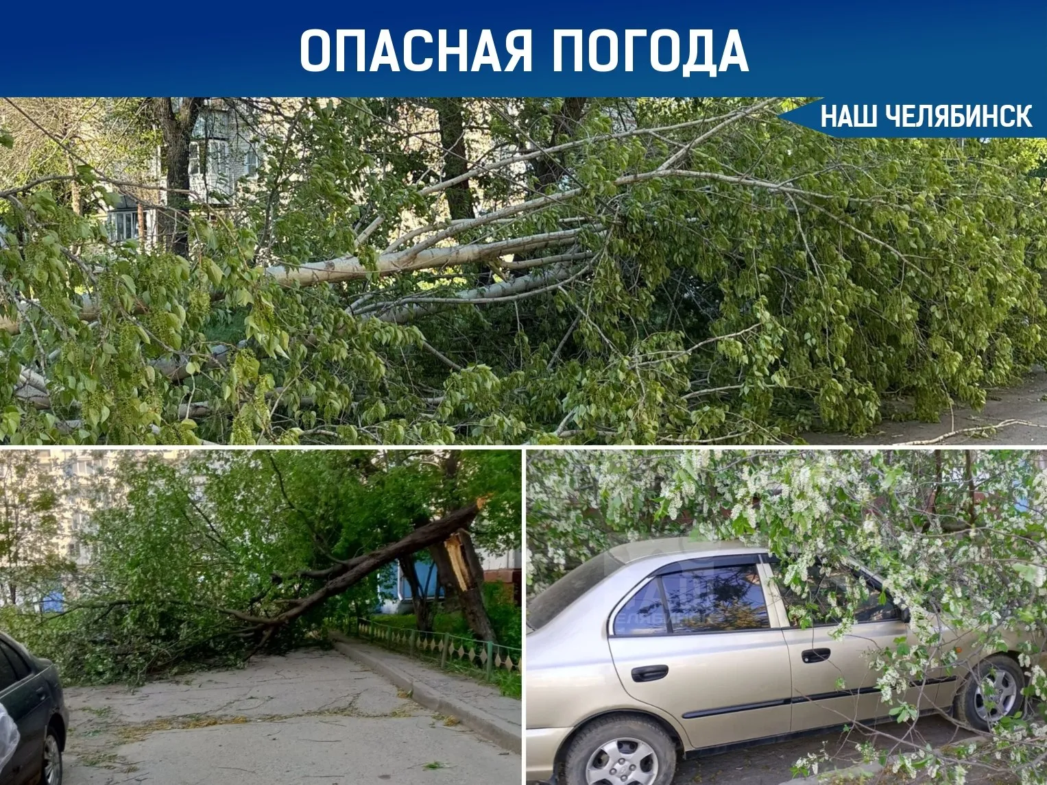 Непогода в Челябинске поваленные деревья и аварии Челябинск накрыло сильным ураганом Из за шквалистого ветра в разных районах города начали падать деревья а в Ленинском районе последствия стихии привели к отключению электричества в нескольких домах Власти уже поручили службам оперативно убирать упавшие деревья и вывозить мусор с площадок которые завалило ветром Сейчас городские службы работают в усиленном режиме чтобы быстрее справиться с последствиями непогоды Наш Челябинск новости без лапши Подпишись