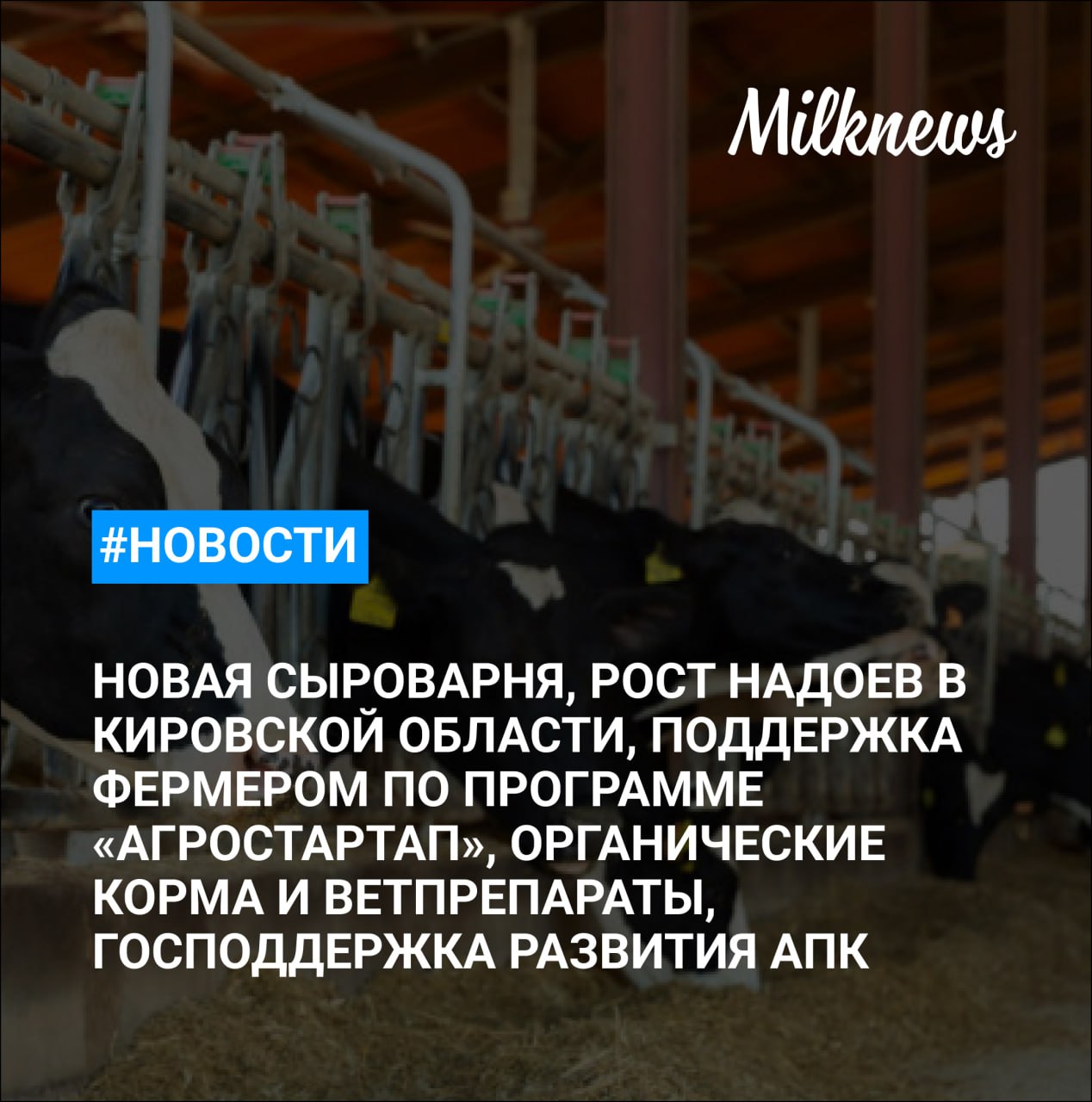 «Винсадский молочный завод» открыл новую сыроварню за 200 млн руб. в Ставропольском крае Кировская область увеличила надои на 10% Новые ветпрепараты и корма получили статус органических Госпрограмма развития АПК заняла пятое место по эффективности Кабардино-Балкария в 2025 году направит более 51 млн руб. на помощь фермерам по программе «Агростартап»
