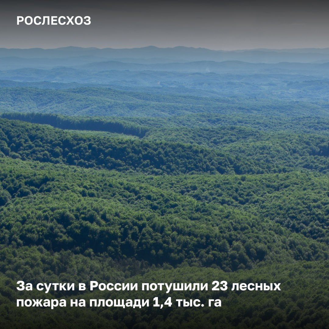В ликвидации возгораний задействовали 1 122 человека 86 ед спецтехники и 5 воздушных судов Лесопожарная обстановка На 06 00 мск 26 августа в России на землях лесного фонда продолжается тушение 30 лесных пожаров на площади 4 6 тыс га Из них локализовано 11 возгораний площадью 277 га В настоящее время к тушению лесных пожаров привлечено 1 122 человека 86 ед спецтехники и 5 воздушных судов Борьбу с огнем в лесах ведут региональные группировки лесных пожарных и лесной охраны арендаторы лесных участков Помощь в ликвидации возгораний в Республике Тыва дополнительно оказывают 245 специалистов Федеральной Авиалесоохраны Лесопожарная обстановка в регионе стабилизируется отметил начальник Управления охраны лесов от пожаров Рослесхоза Евгений Писаревский на заседании КЧСиПБ ведомства Меры реагирования Сегодня в 57 регионах России установлен особый противопожарный режим в лесах Режим чрезвычайной ситуации действует на всей территории Республики Тыва в 1 м о Республики Саха Якутия 1 м о Луганской Народной Республики 1 м о Иркутской области