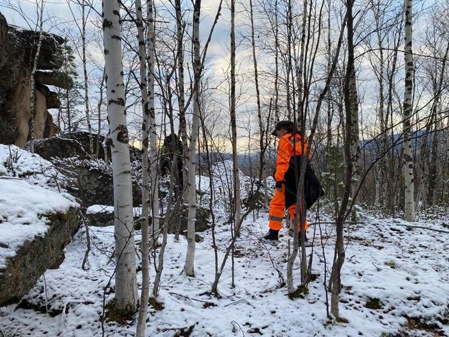 Следователи озвучили новую версию исчезновения семьи Усольцевых в горах Партизанского района Свидетели полагают что туристы могли изменить маршрут и направиться к горе Мальвинка чтобы увидеть камень желаний Ранее поиски были сосредоточены у скалы Буратинка но они не дали результатов так как другие туристы находившиеся рядом не встретили пропавшую семью на тропе Подробнее на Бабре красноярск kras 24