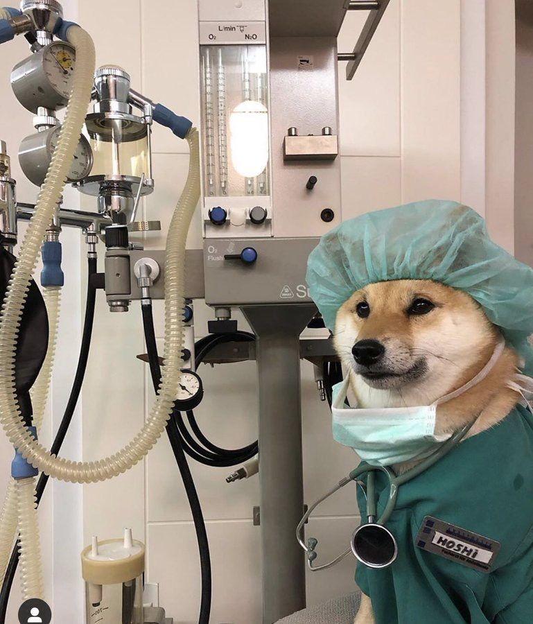 В Казани откроется центр трансплантации и высокотехнологической хирургии Он рассчитан на 253 койки и 809 рабочих мест В центре будут собственные отделение лучевой диагностики и лаборатории Также в комплексе расположатся 18 операционных в том числе ангиографическая и роботизированная   inde io news v kazani otkroetsya czentr transplantaczii i vysokotehnologicheskoj hirurgii