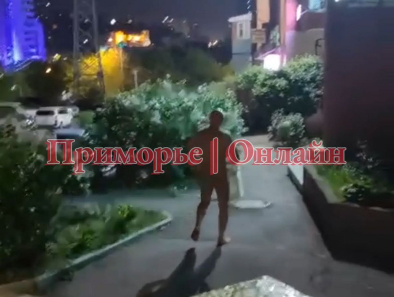 Во Владивостоке полиция проверяет информацию о мужчине, который ходил голым по улицам Авроровской. Об этом сообщили в пресс-службе полиции. В дежурную часть отдела полиции поступило сообщение от местного жителя, что его сосед шумит и стучит в двери квартир на лестничной площадке. Полицейские нашли 45-летнего мужчину, предположительно находившегося в наркотическом состоянии. В его квартире обнаружены запрещённые вещества, похожие на наркотики, которые отправлены на экспертизу. Мужчина доставлен в отдел полиции. Сейчас проводится проверка, и по её результатам примут решение.