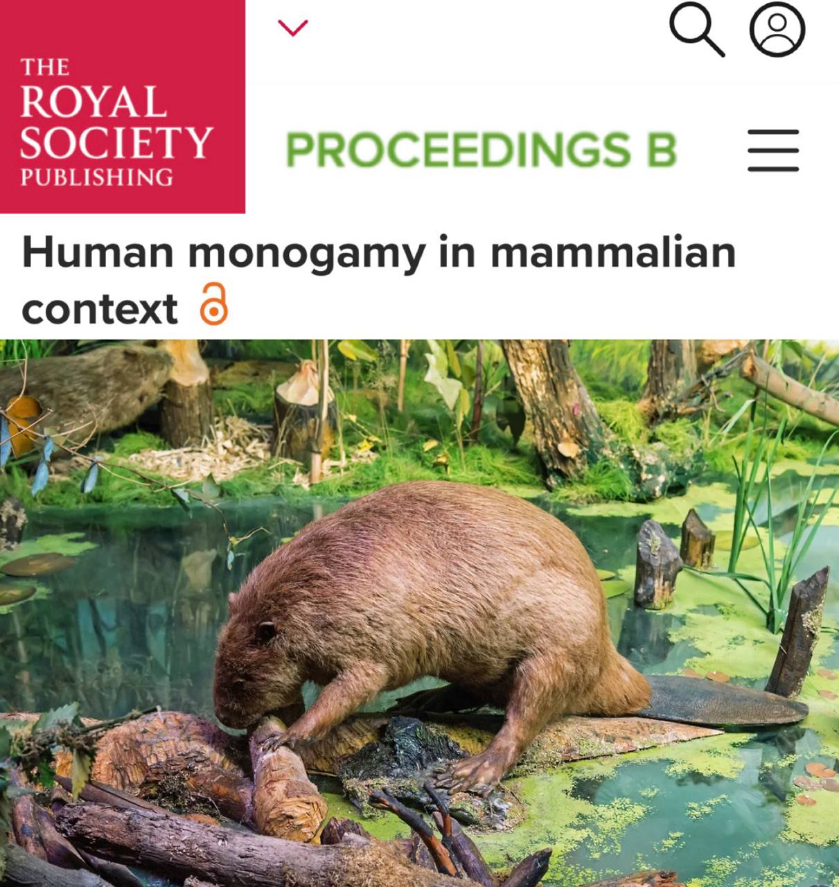 Человеческая верность в статистике выглядит скромнее чем в бытовых мифах В рейтинге моногамности млекопитающих мы только седьмые между обыкновенным бобром и белоруким гиббоном По данным зоологов у людей около 66 детей рождаются от одной и той же пары родителей чаще семья чем нет но до идеала далеко А вот калифорнийские белоногие хомяки чемпионы у них показатель 100 одна пара на всю жизнь В топ 7 также входят гиеновидная собака дамарский пескорой усатый тамарин и эфиопский волк Так что если верить науке как бобры это про стабильные отношения а не только про плотины