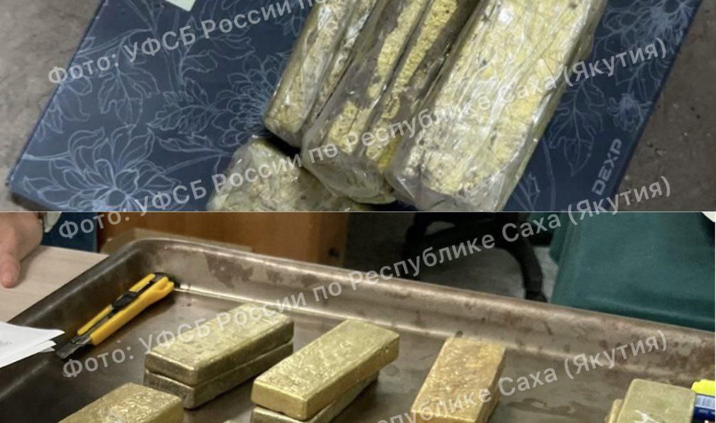 За 11 месяцев 2025 года в Якутии из незаконного оборота изъято 18 кг золота По итогам 11 месяцев этого года в Якутии выявлено 17 преступлений в сфере незаконного оборота драгоценных металлов и камней По сравнению с аналогичным периодом прошлого года рост составил более 50 Всего из оборота изъято 18 килограмм золота на сумму около 157 млн рублей что в шесть раз больше чем за 11 месяцев 2024 года Судом вынесено три обвинительных приговора в отношении четырех граждан Уголовные дела возбуждены следственными органами в Алданском Нерюнгринском Мегино Кангаласском Оймяконском районах и Якутске yakutiadaily