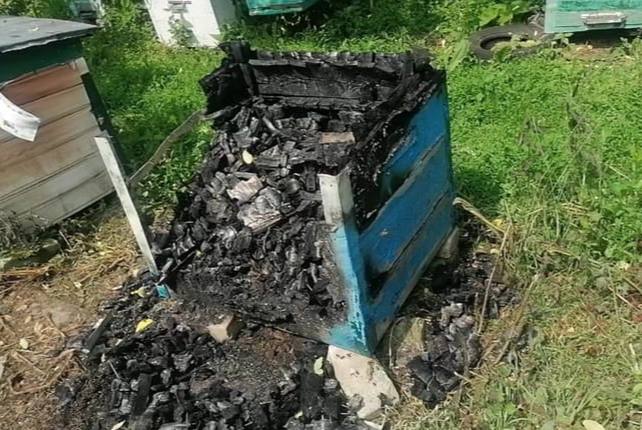 Женщина подожгла пасеку в Рогнединском районе от обиды на хозяина пчёл   Были уничтожены два улья с пчелами, еще пять ульев получили повреждения.   По предварительной оценке, причиненный ущерб составил несколько десятков тысяч рублей.  Полицейские выяснили, что к преступлению причастна 30-летняя местная жительница, проживающая неподалеку. Она считала, что насекомые могут представлять угрозу для ее семьи.  Возбуждено уголовное дело по факту умышленного уничтожения имущества.   Брянский навигатор