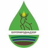 Бурприроднадзор