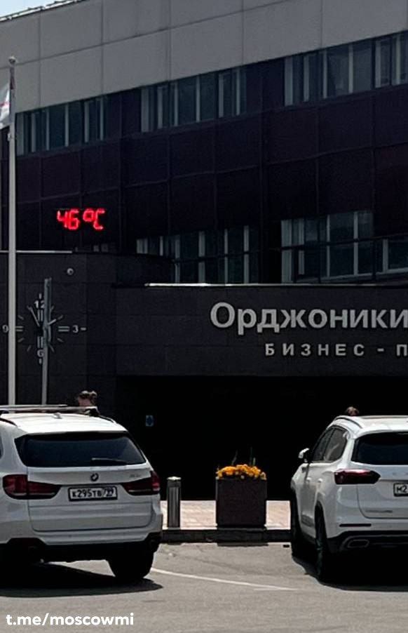 Адских +46°C достигла жара в Москве.