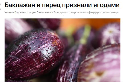 Баклажан и перец признали ягодами Плоды баклажана болгарского перца а также помидора и банана с точки зрения ботаники классифицируются как ягоды Под ягодой понимают плод который завязывается из одного цветка с сочной мякотью и множеством семян внутри сообщила руководитель лаборатории возрастной нутрициологии Федерального исследовательского центра питания и биотехнологии Екатерина Пырьева