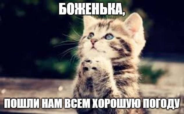 Подмосковье ожидают температуры ниже нормы на предстоящей неделе Низкое атмосферное давление приведет к облачной погоде с прояснениями. При этом сильных осадков не ожидается. В начале недели ночные температуры составят около 8–10 градусов тепла, а к середине недели поднимутся до 11–13 градусов. Днем воздух будет прогреваться до 18–20 градусов. Самым теплым днем недели станет вторник, когда температура поднимется до 21–23 градусов благодаря изменению направления воздушных потоков на южное. Подписаться Прислать Новость