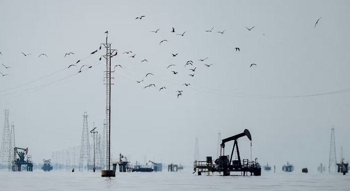 Продажа венесуэльской нефти США компанией спонсора Трампа Старший трейдер Vitol 6 млн пожертвование Трампу имевший встречу с президентом в Белом доме стал первым продавцом венесуэльского сырья investing investing