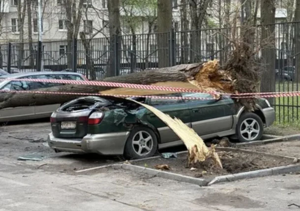 Из-за мощного шторма в Москве были задержаны несколько рейсов в Таджикистан. Ситуация может повториться в ближайшие дни, сообщают метеорологи.   Пятибалльный ураган, обрушившийся на Москву и Подмосковье, стал причиной не только обрушения деревьев, фасадов и легких конструкций, но и задержки нескольких рейсов из российской столицы в аэропорты РТ.  Причем уже в субботу, 23 ноября ситуация с задержкой вылета на несколько часов может повториться, поскольку на Москву идет новый атмосферный вихрь, сообщают в Гидрометцентре РФ.